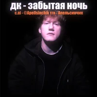 Даня кашин
