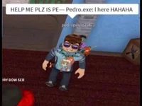 Pedroexe