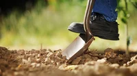 A man with a shovel