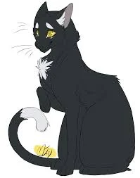 RavenPaw