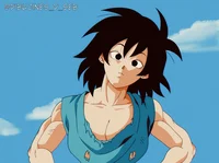 Fem Goku