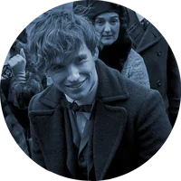 newton scamander