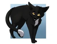 RavenPaw