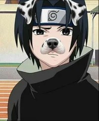 Sasuke 