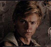 Newt 