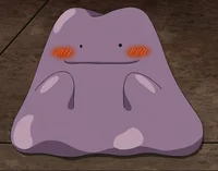 Ditto