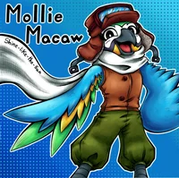 Mollie Macaw