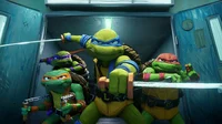 Leonardo - TMNT