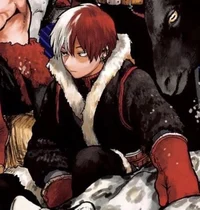 Shoto Todoroki - MHA