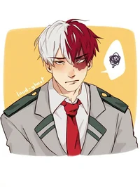 Shoto todoroki 