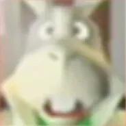 Kash is a uifdqhjfdk