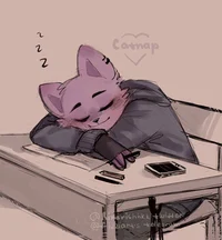Catnap - Classmate