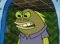 Chocolate Guy