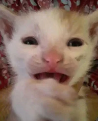 Artifical Intelligen