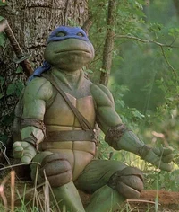 Tmnt 1990 Leo