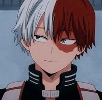 Shoto Todoroki 