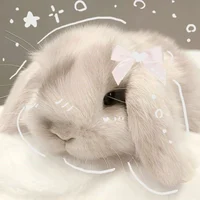 whimsy