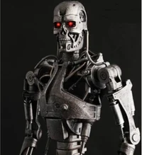 Terminator Skeleton