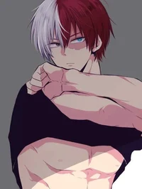 Shoto todoroki 