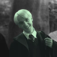 10 - Draco L Malfoy