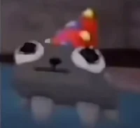 Party pebble