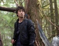BELLAMY BLAKE