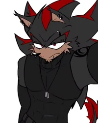 Shadow the hedgehog 