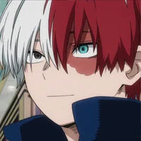 Shoto Todoroki