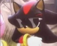 Shadow The Hedgehog