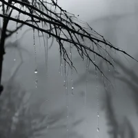 TF141- rainy mission