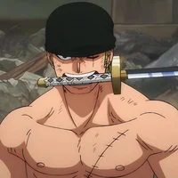 OP Roronoa Zoro