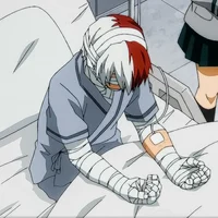 Shoto Todoroki