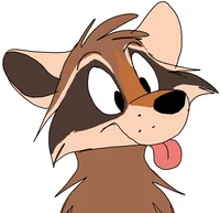 Dakota The Raccoon