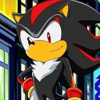 Shadow the Hedgehog