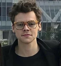 harry styles - prof