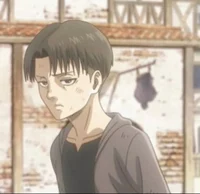 Levi Ackerman 