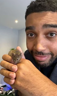 niko omilana
