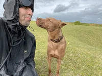 Liam Gallagher - Old