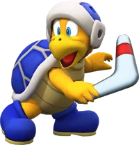 Boomerang Bro