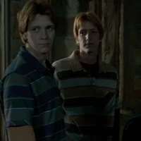 Twins Weasley