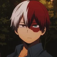 Shoto Todoroki