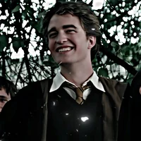 Cedric Amos Diggory