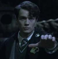 tom marvolo riddle