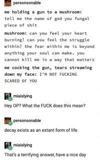 decay exists as an e