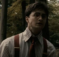 HARRY J P