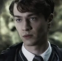 tom marvolo riddle