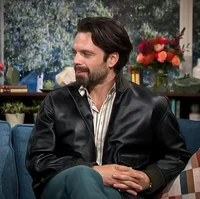 sebastian stan 