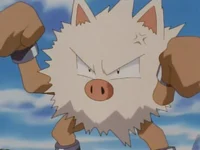 Primeape 