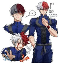 Shoto todoroki 