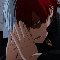 Shoto Todoroki